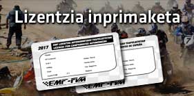 Lizentzia