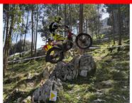 noticia