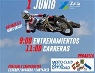 noticia