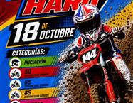 noticia