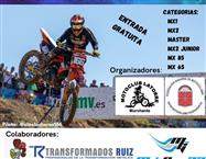 noticia